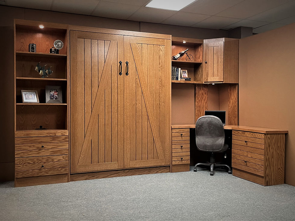 Barn Door Murphy Bed Style #1119-1122