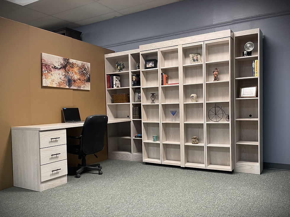 Bookcase Murphy Bed Style #1800-1123b