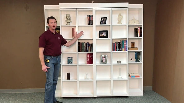 Want More Functionality? Could a Bookcase Wall Bed Replace Your Extra Cabinets?